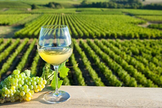 Vignobles de Vouvray & Chinon — Tours